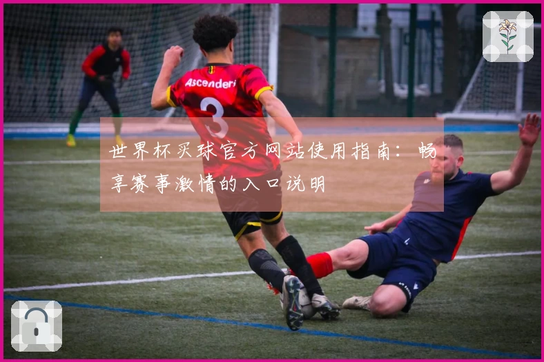 世界杯买球官方网站使用指南：畅享赛事激情的入口说明