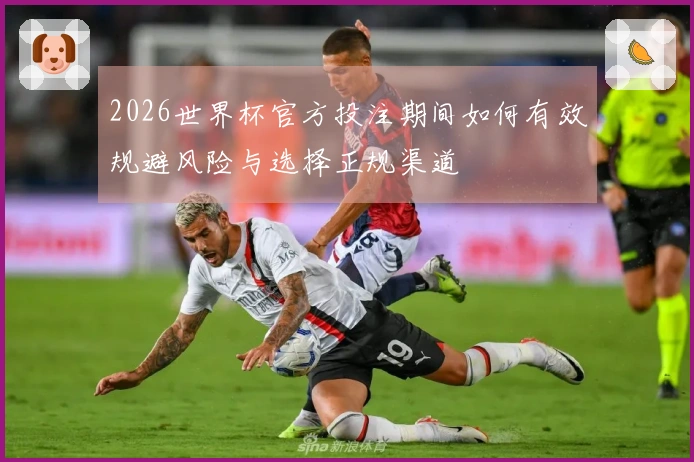 2026世界杯官方投注期间如何有效规避风险与选择正规渠道