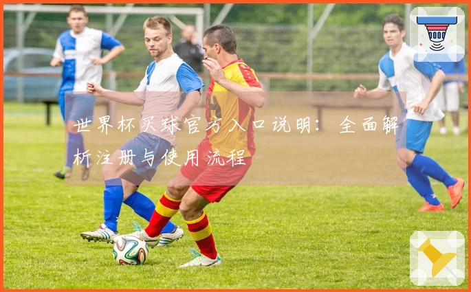 世界杯买球官方入口说明：全面解析注册与使用流程