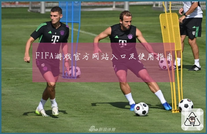 FIFA游戏官方网站入口及使用指南