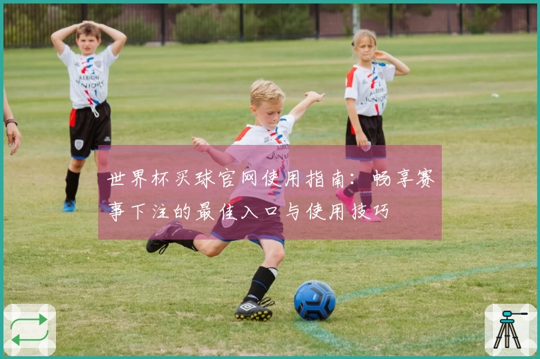 世界杯买球官网使用指南：畅享赛事下注的最佳入口与使用技巧