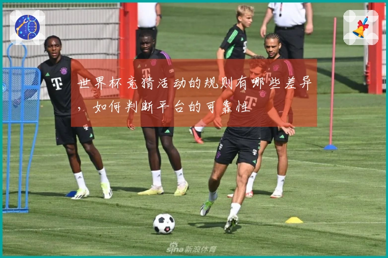 世界杯竞猜活动的规则有哪些差异，如何判断平台的可靠性