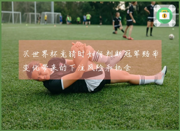 买世界杯竞猜时如何判断冠军赔率变化带来的下注风险和机会