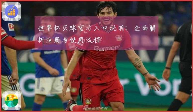 世界杯买球官方入口说明：全面解析注册与使用流程